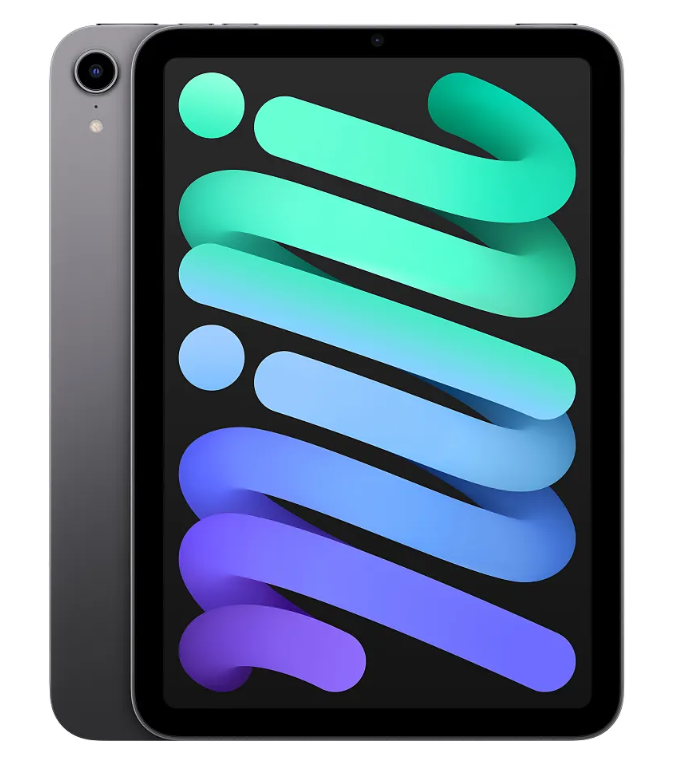 APPLE IPAD MINI 8,3" 5G 256 GB (2021) SPACE GREY