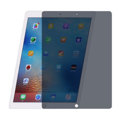 Privacy iPad 10,2"