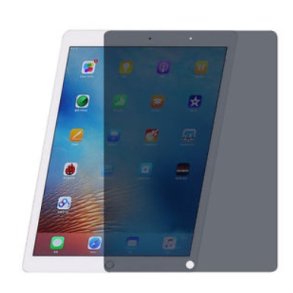 Privacy iPad 10,2
