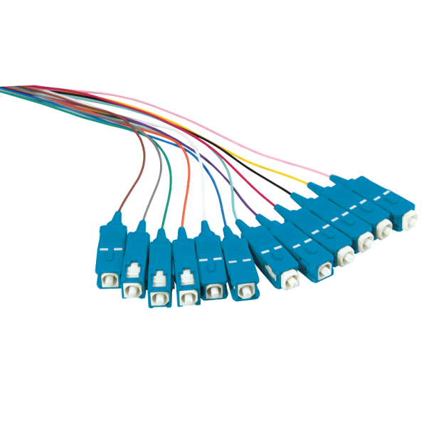 Colored pigtail set 12x SC, OS2, 2m, blue connector