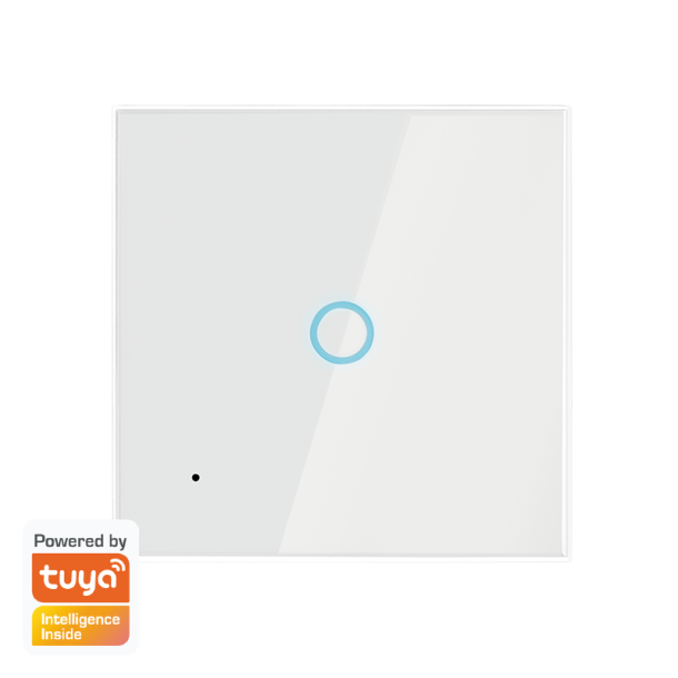 Wi-Fi smart wall switch, Tuya compatible