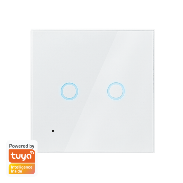 Wi-Fi smart dual wall switch, Tuya compatibel