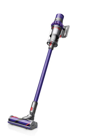 Dyson v10 Animal