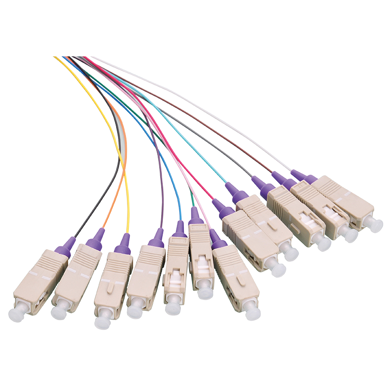 Colored pigtail set 12 x SC, OM4 50/125µ, 2m, violet