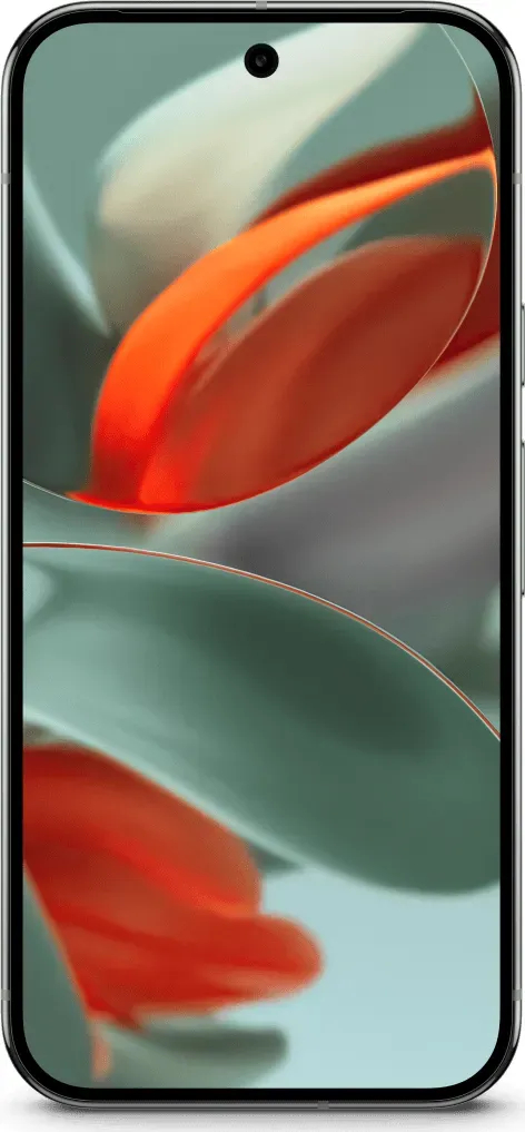 Google Pixel 9 Pro XL 5G smartphone 16/256GB (Hassel)